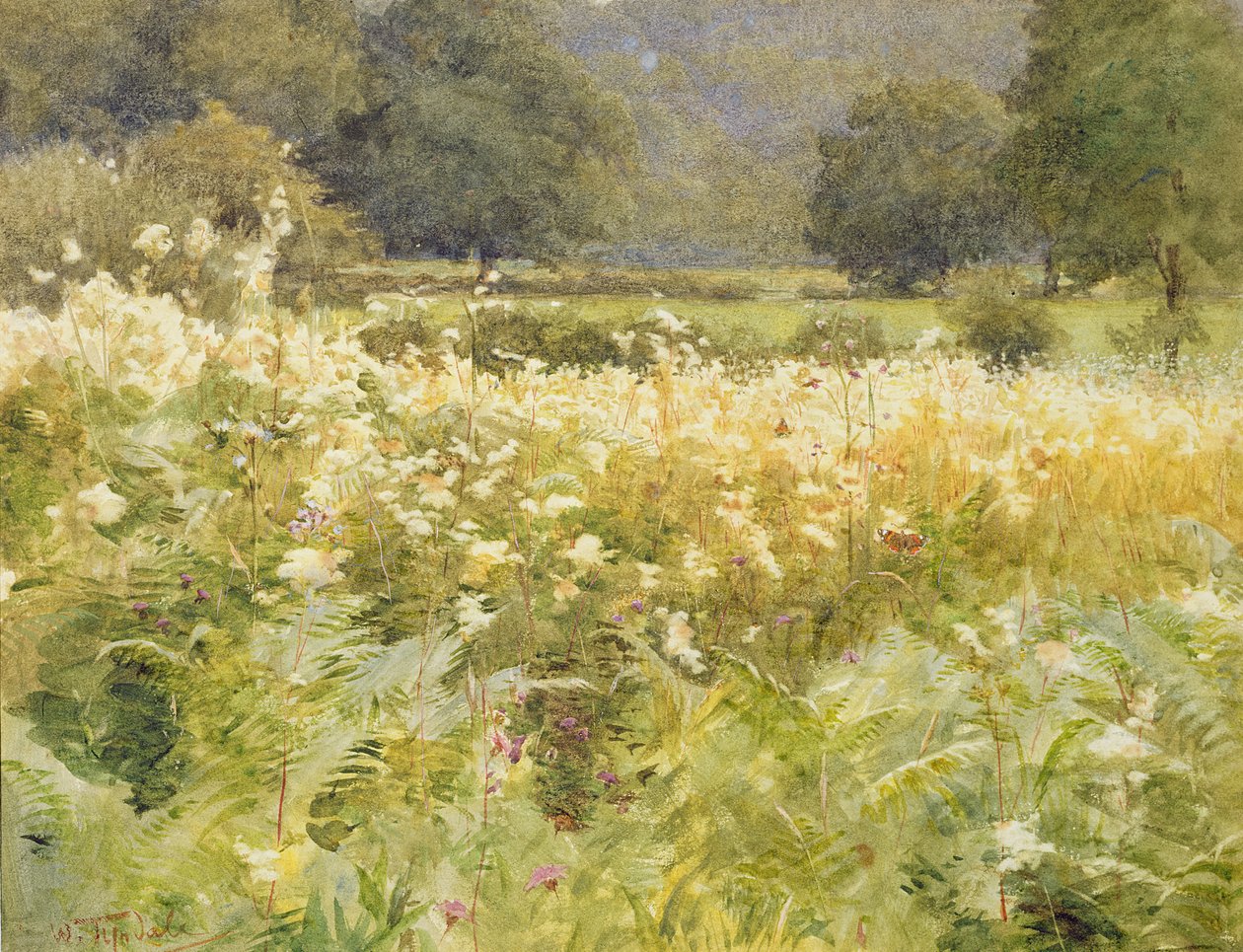 Meadowsweet (wc papíron) alkotó: Walter Frederick Roofe Tyndale