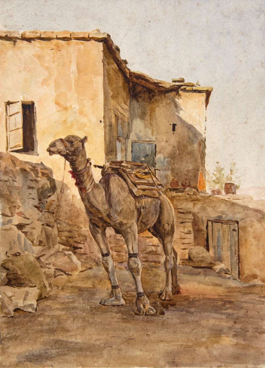Tethered Camel (akvarell) alkotó: Walter Frederick Roofe Tyndale