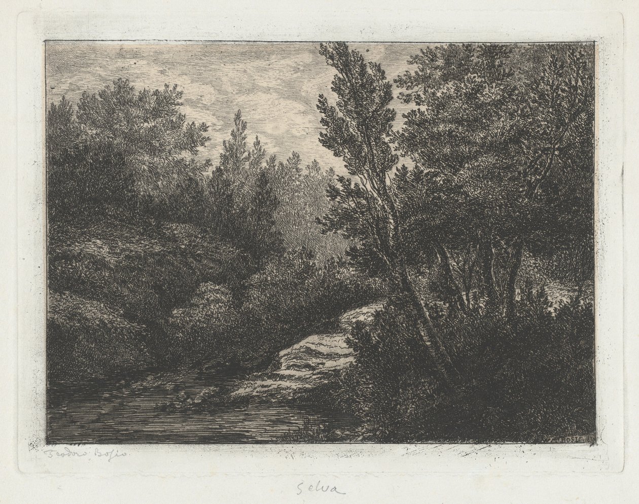 Selva (Woods) alkotó: Walter Teodoro Bosio