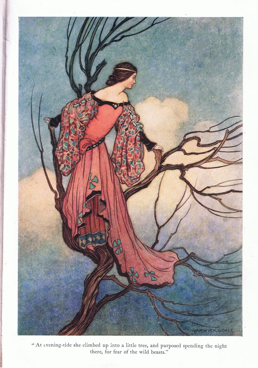 Esti dagálykor felmászott alkotó: Warwick Goble