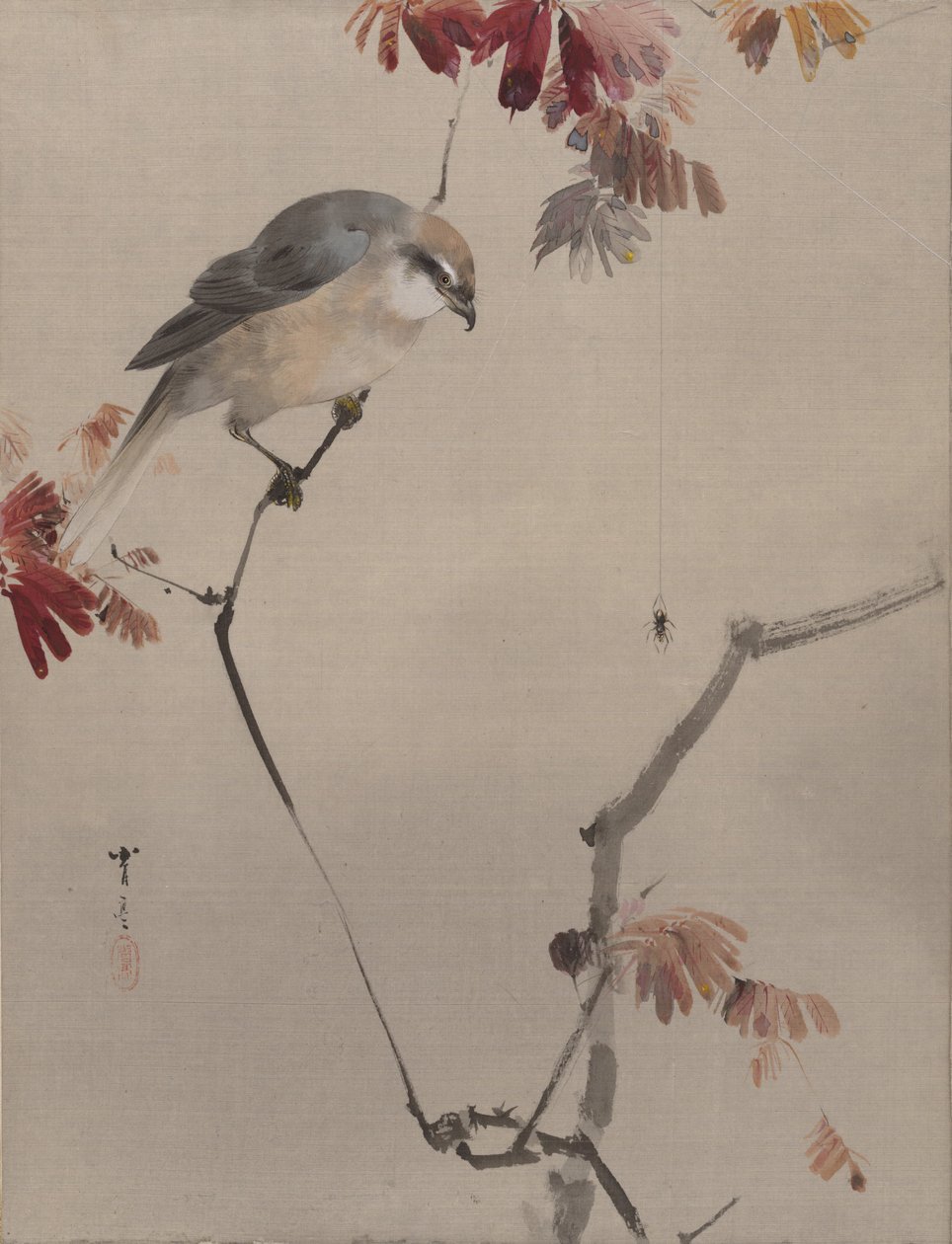 Bird on Branch Watching Spider, kb. 1887. alkotó: Watanabe Seitei