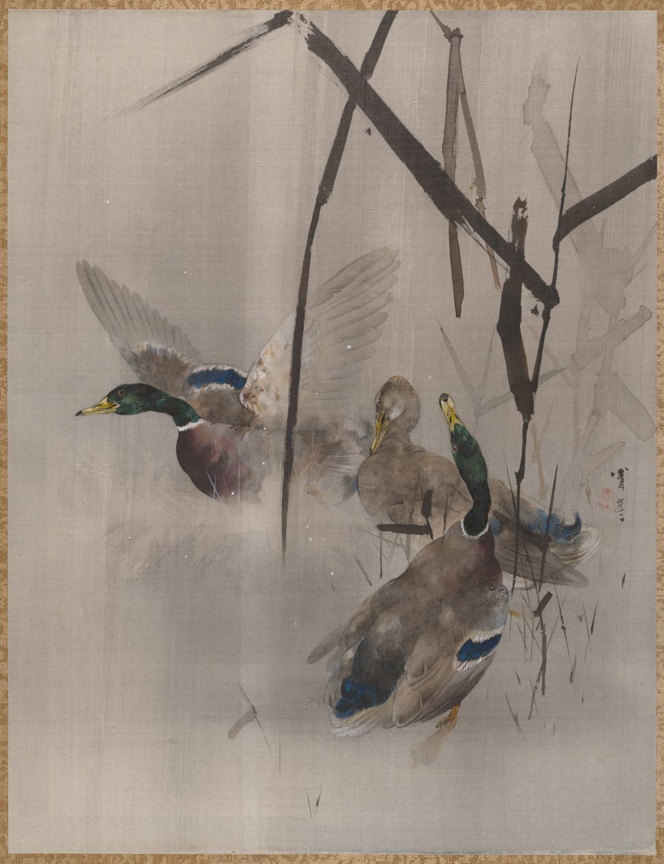 Ducks in the Rushes, kb. 1887. alkotó: Watanabe Seitei