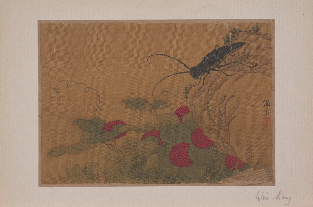 Grasshopper on Rock, 15. század. alkotó: Wen Liang
