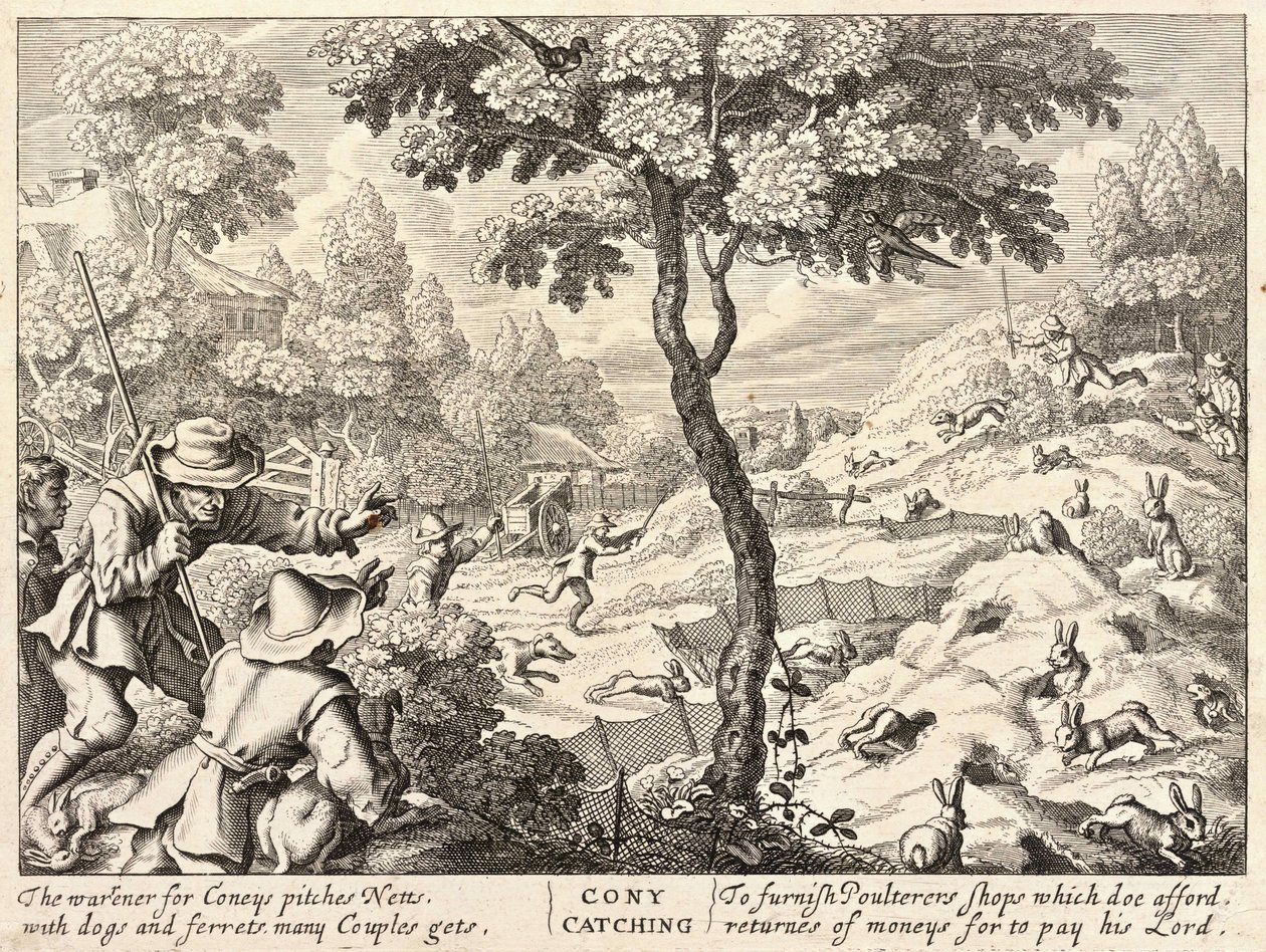 Coney fogás alkotó: Wenceslaus Hollar