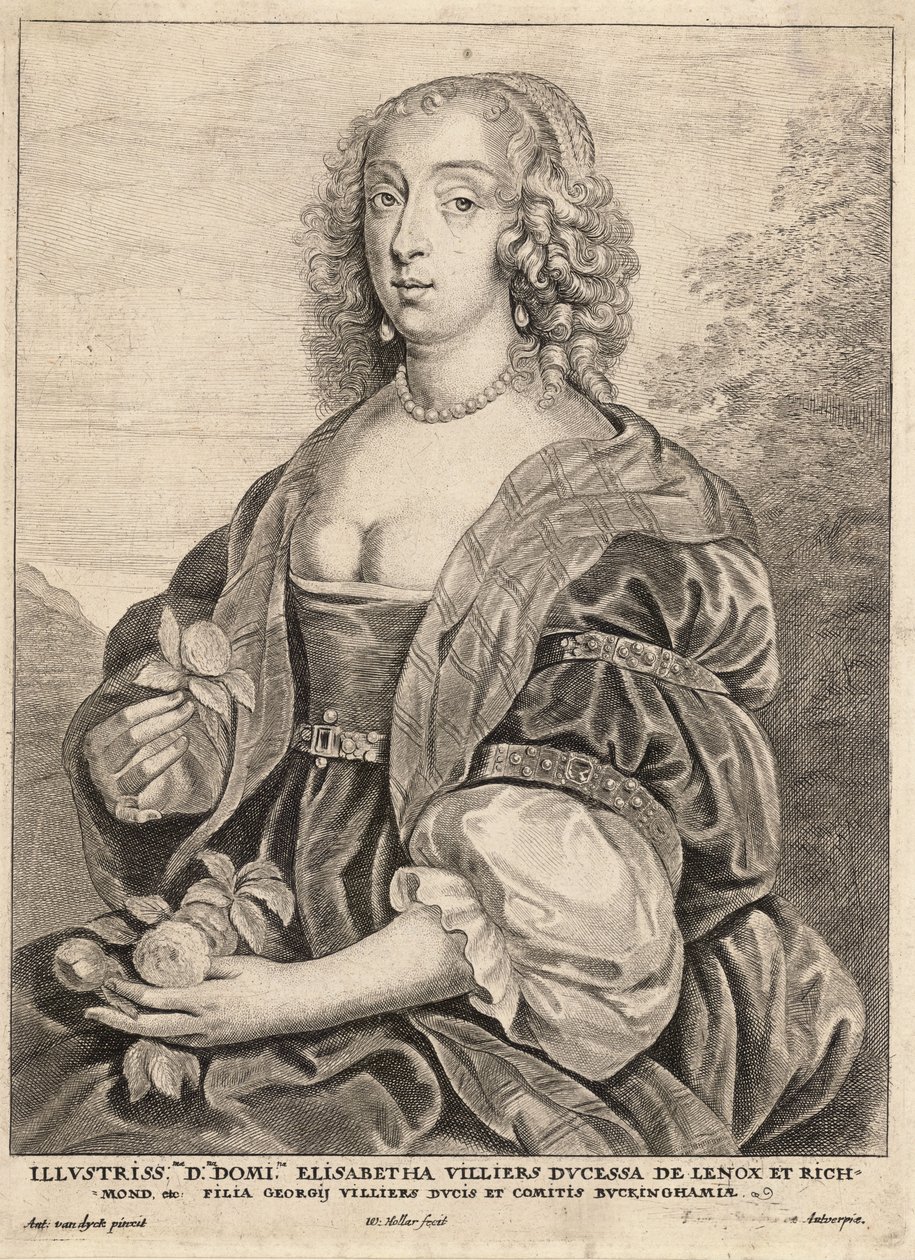 Lennox hercegnője, van Dyck után. Állapot 5 alkotó: Wenceslaus Hollar
