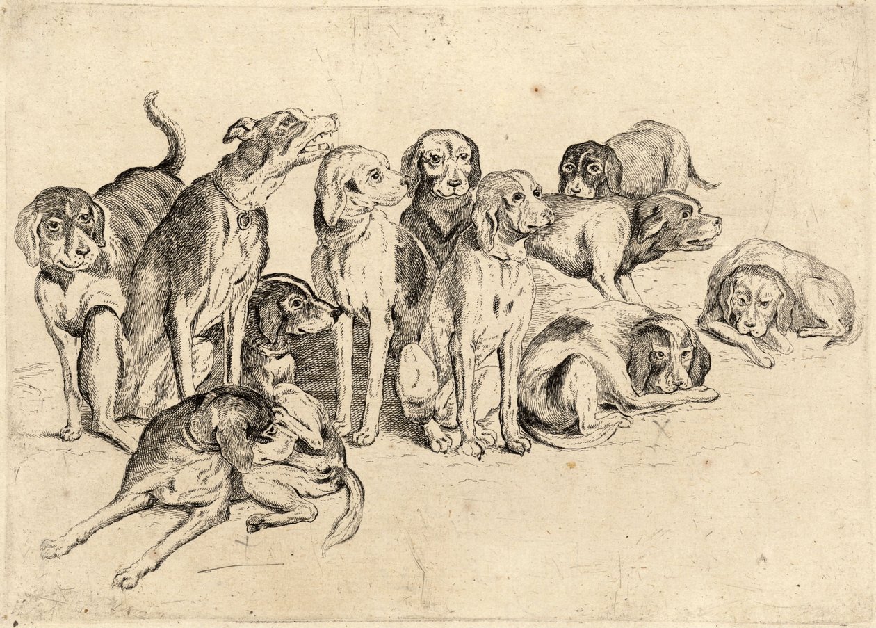 Tizenegy vadászkutya alkotó: Wenceslaus Hollar