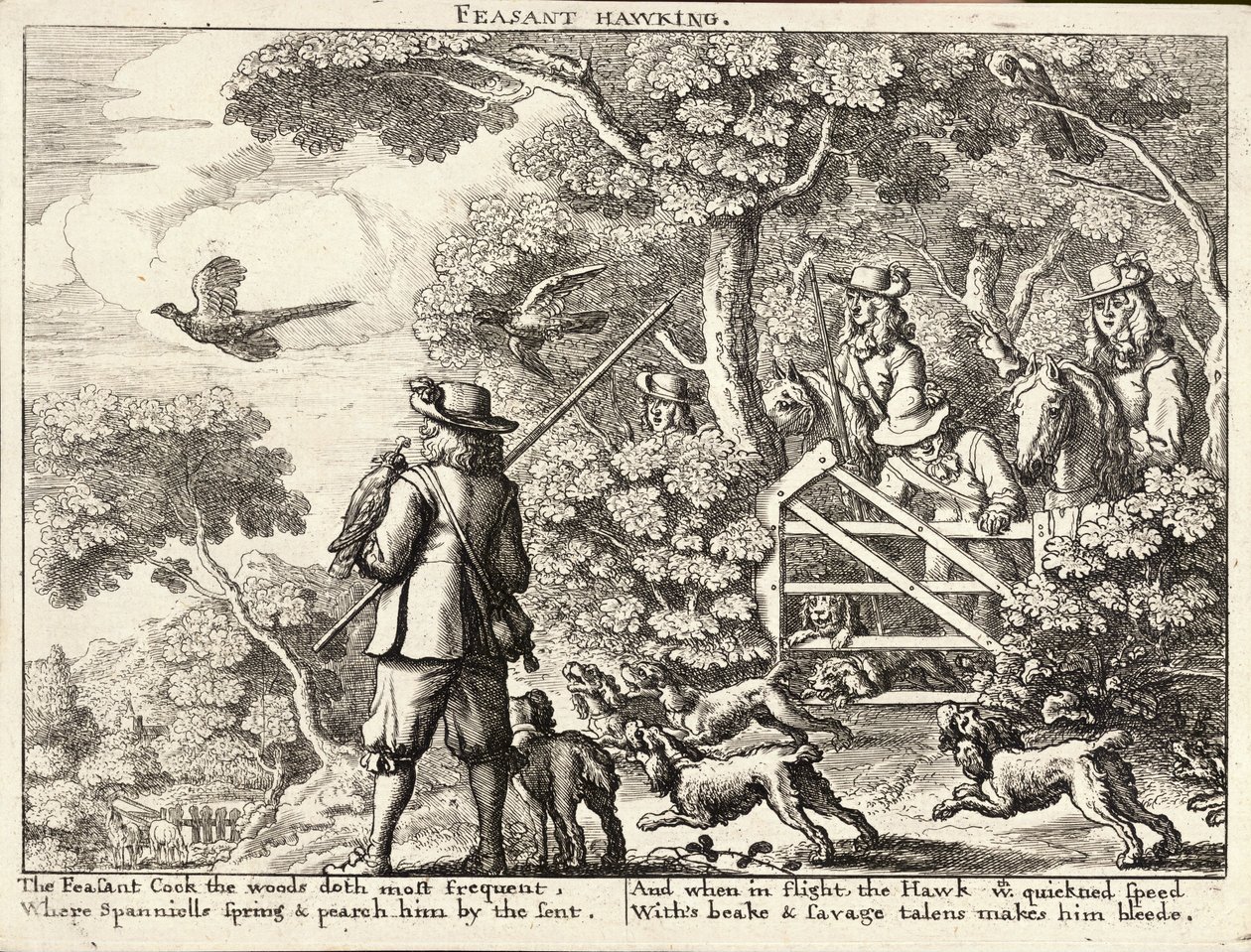 Fácánvágás alkotó: Wenceslaus Hollar