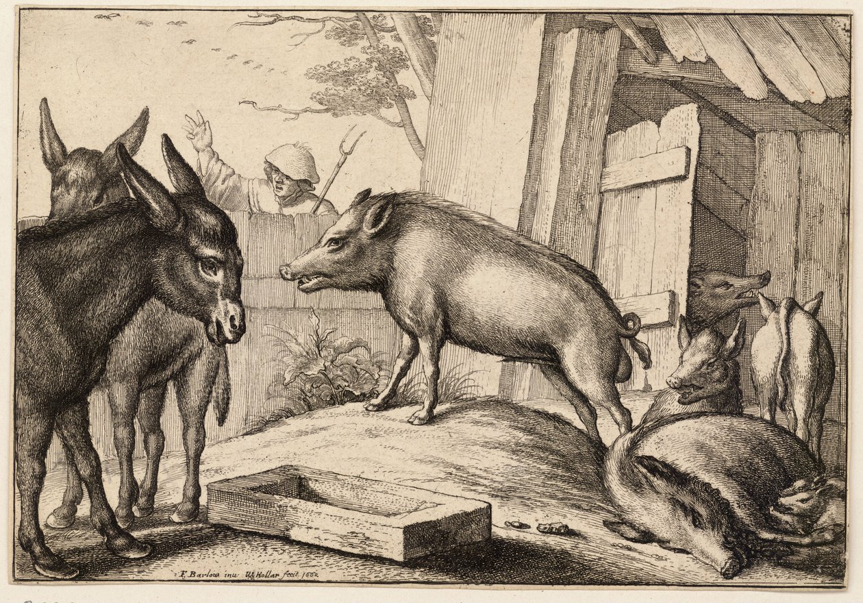 Sertések és szamarak alkotó: Wenceslaus Hollar