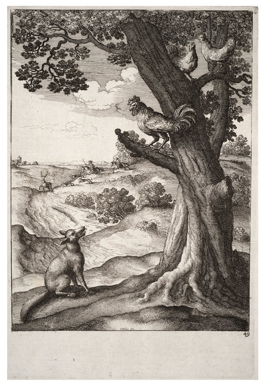 A róka és a kakas alkotó: Wenceslaus Hollar