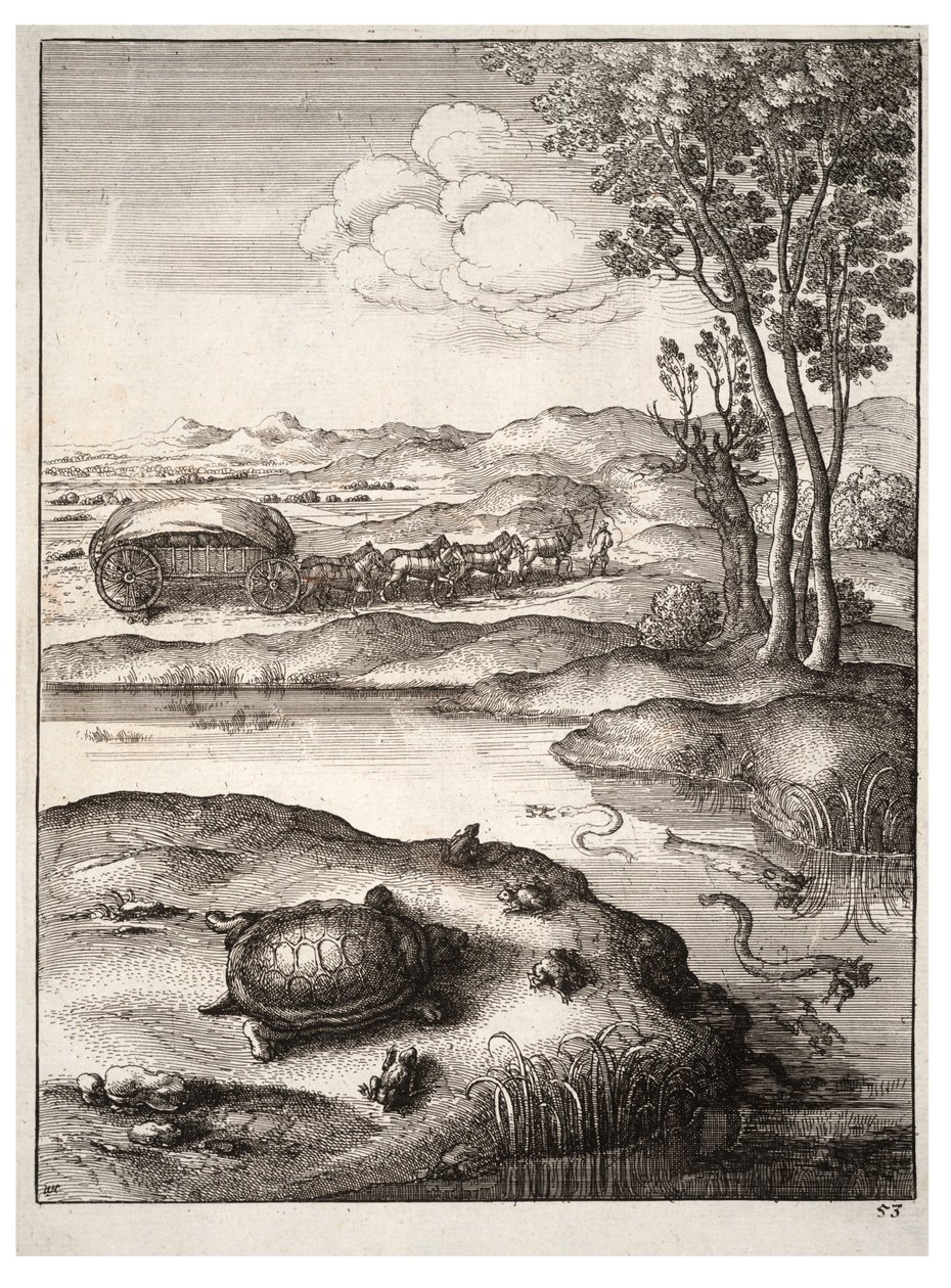 A teknősbéka és a békák alkotó: Wenceslaus Hollar