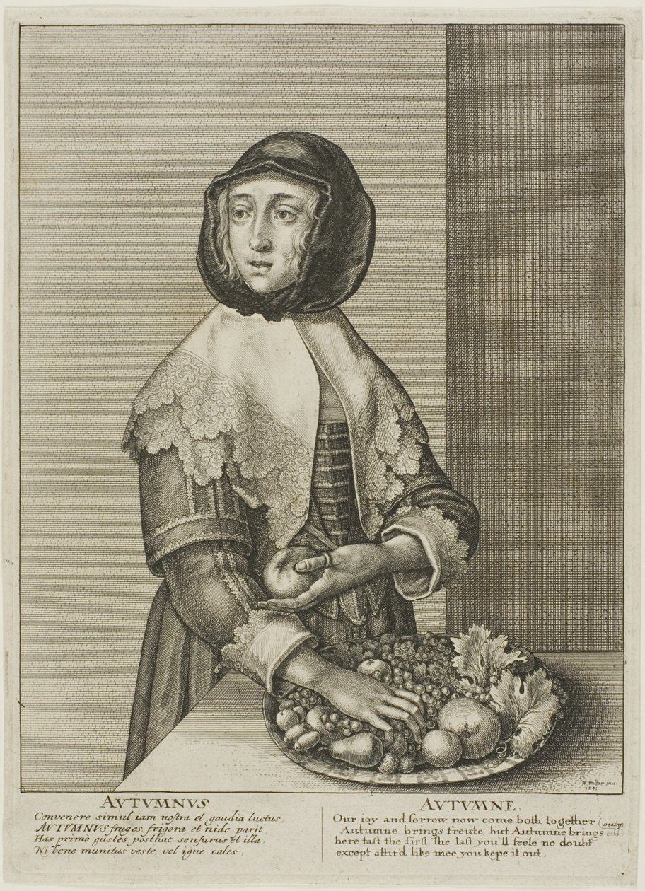 Ősz alkotó: Wenceslaus Hollar