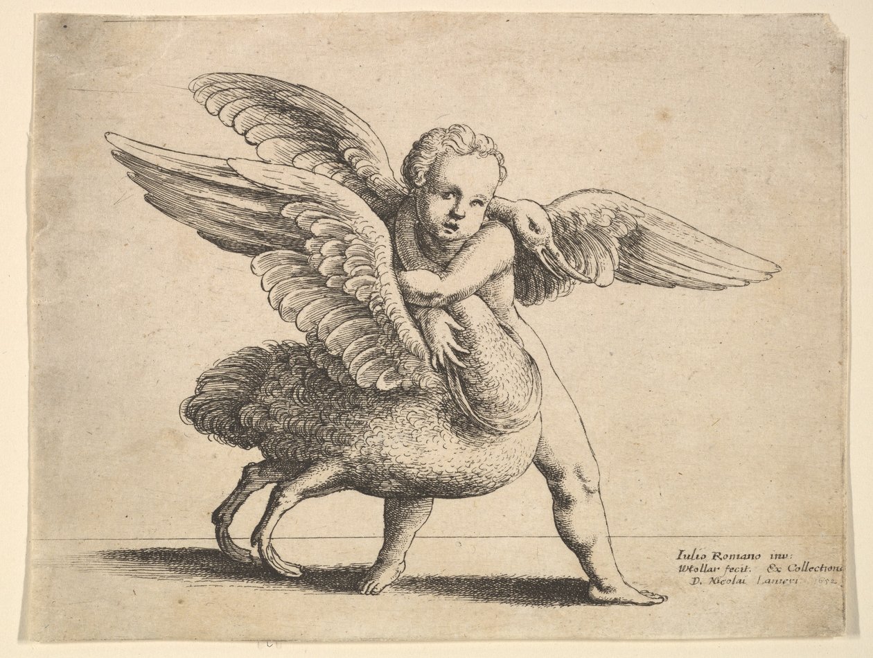 Ámor és a hattyú, 1652. alkotó: Wenceslaus Hollar