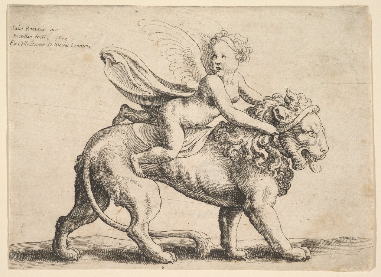 Ámor oroszlánon, 1652. alkotó: Wenceslaus Hollar
