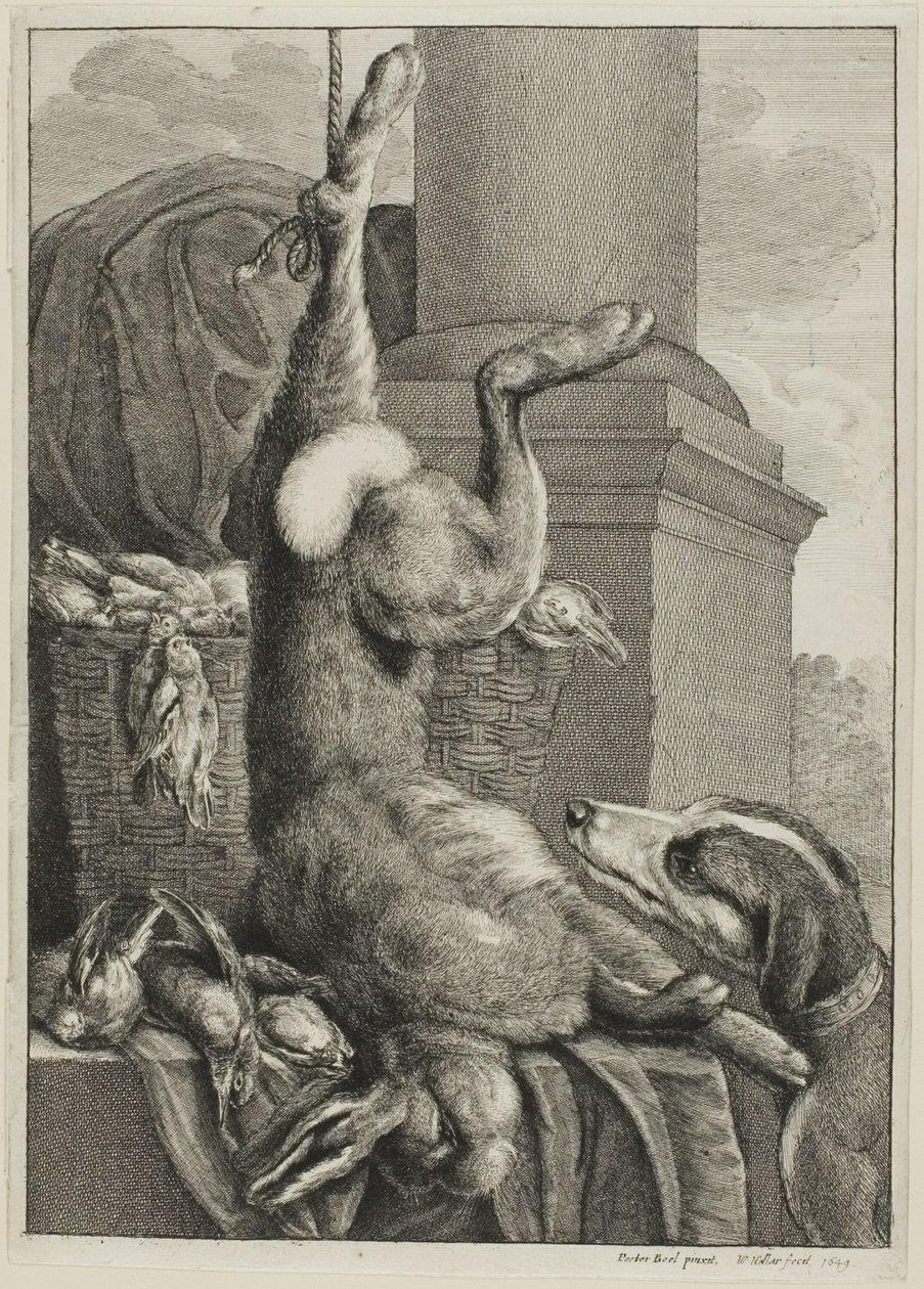 Döglött nyúl alkotó: Wenceslaus Hollar