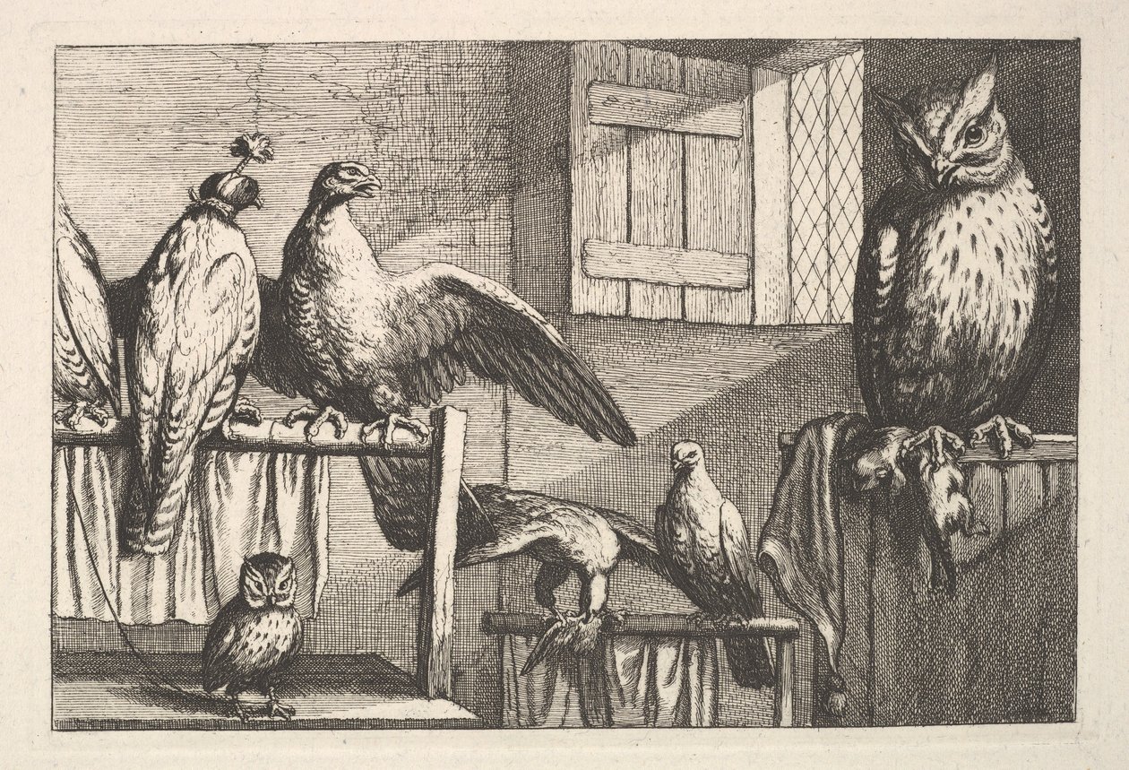 Sólymok és baglyok, 1625-77. alkotó: Wenceslaus Hollar