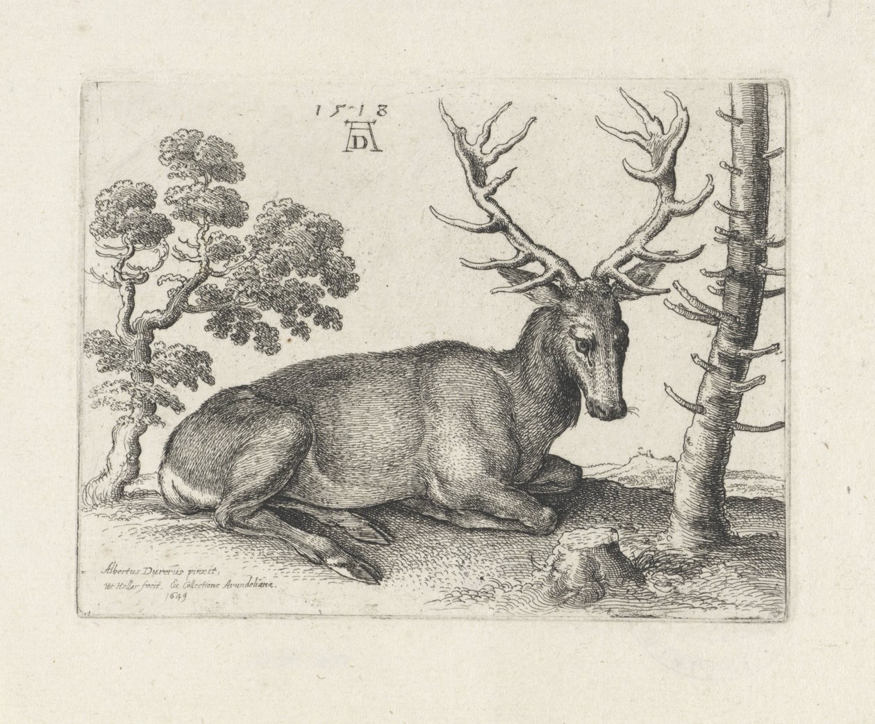 Fekvő szarvas, jobbra alkotó: Wenceslaus Hollar