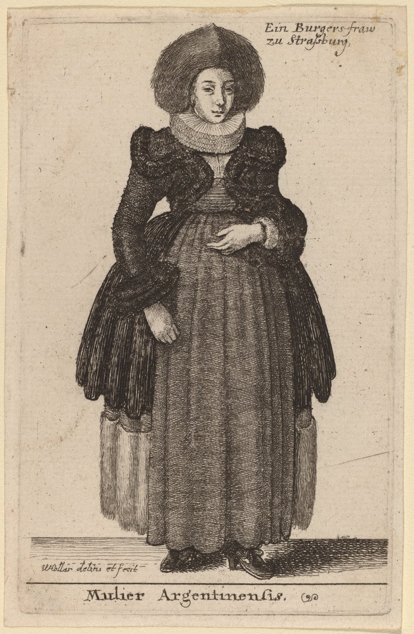 Argentin nő alkotó: Wenceslaus Hollar