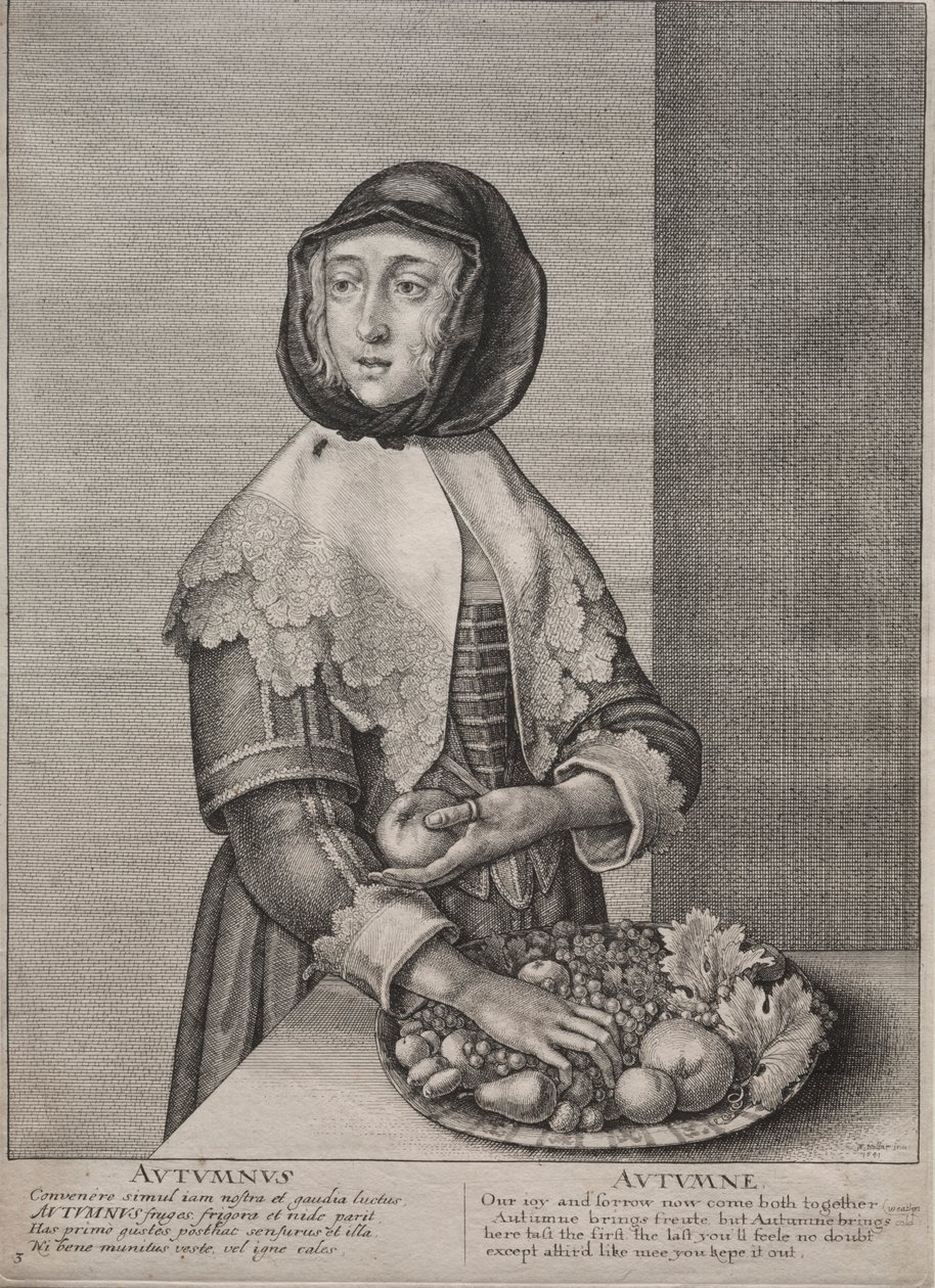 A négy évszak: 1641 ősz. alkotó: Wenceslaus Hollar