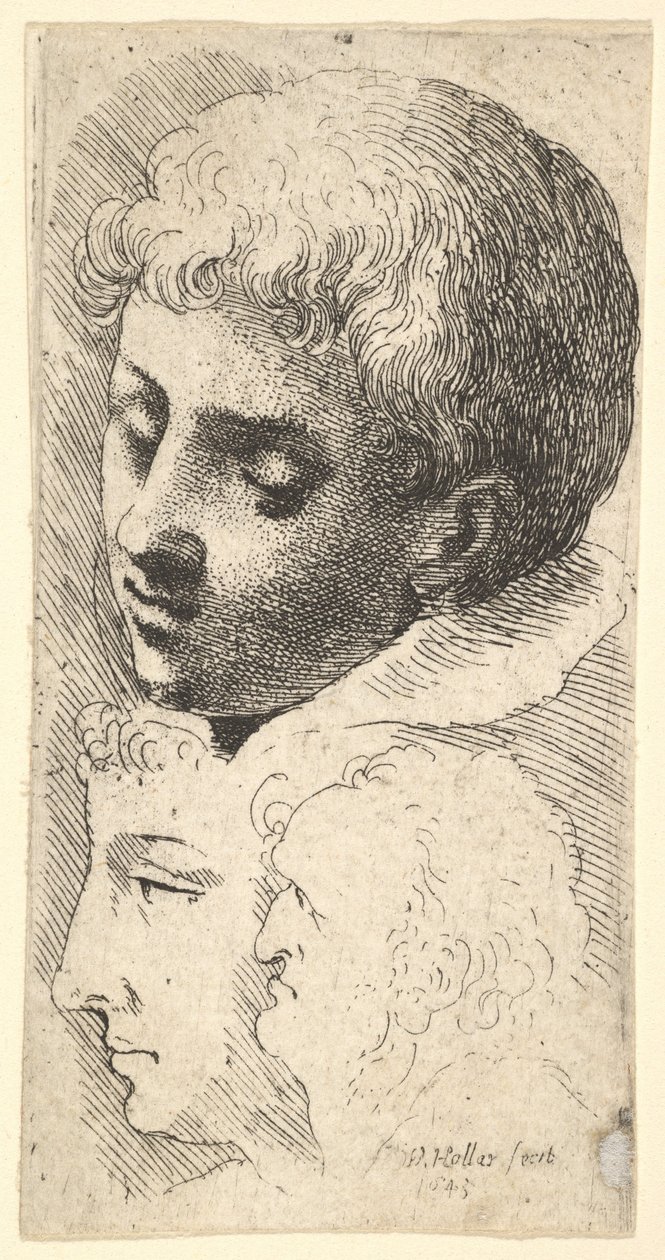 Három fej, 1645. alkotó: Wenceslaus Hollar