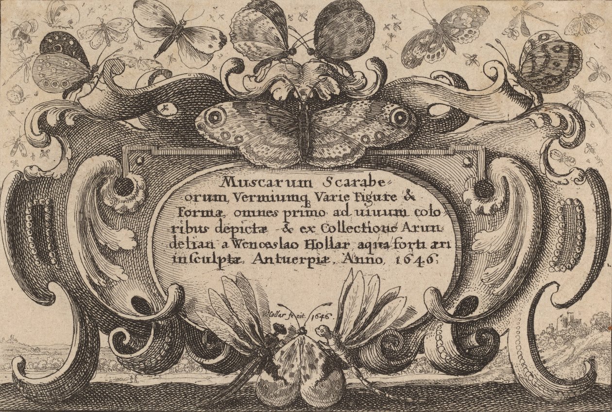Címlap, 1646. alkotó: Wenceslaus Hollar