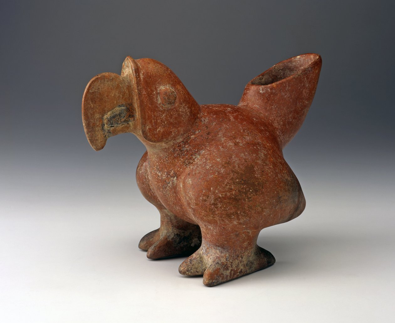 Parrot Effigy Vessel, Kr.e. 200-tól 300-ig (kerámia vörös csúszófestékkel) alkotó: West Mexican