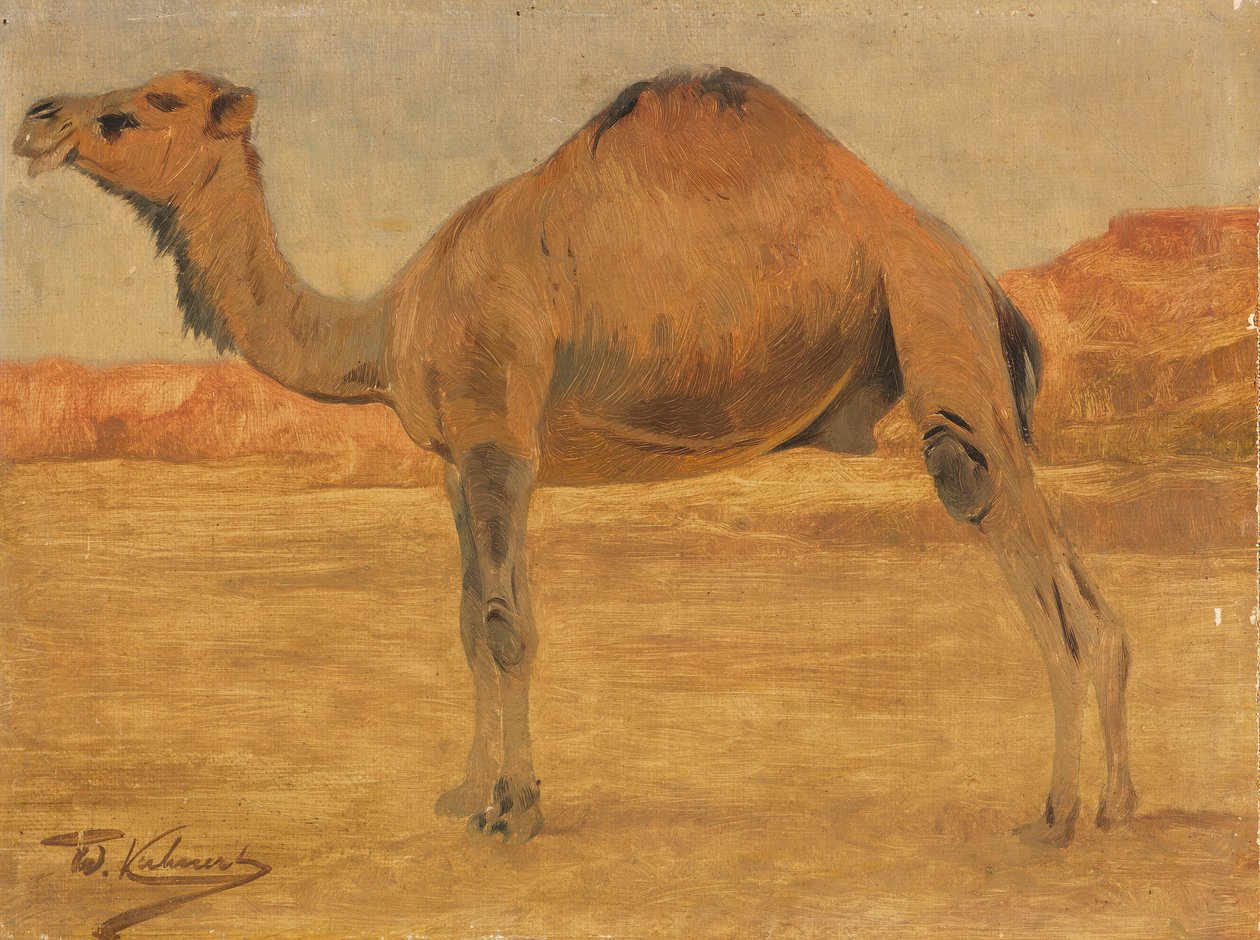 Egypúpú alkotó: Wilhelm Kuhnert