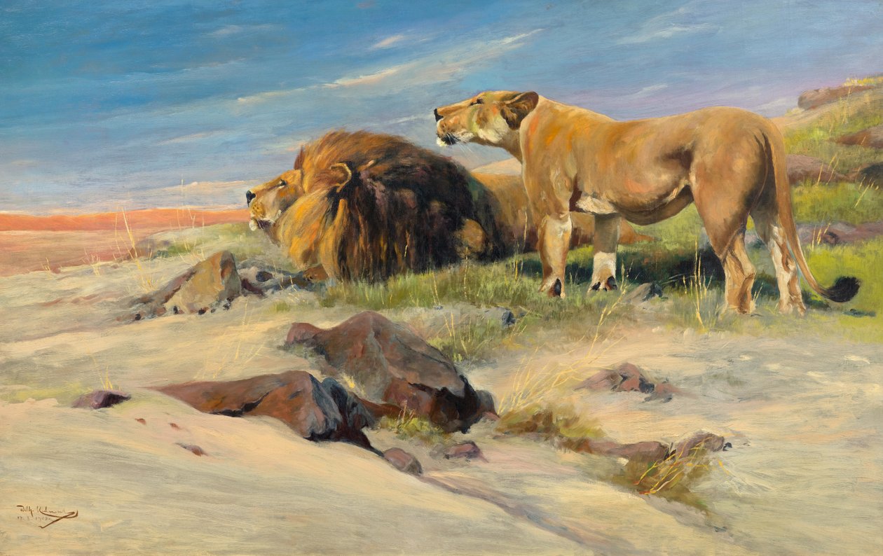 Oroszlánpár a pusztán alkotó: Wilhelm Kuhnert