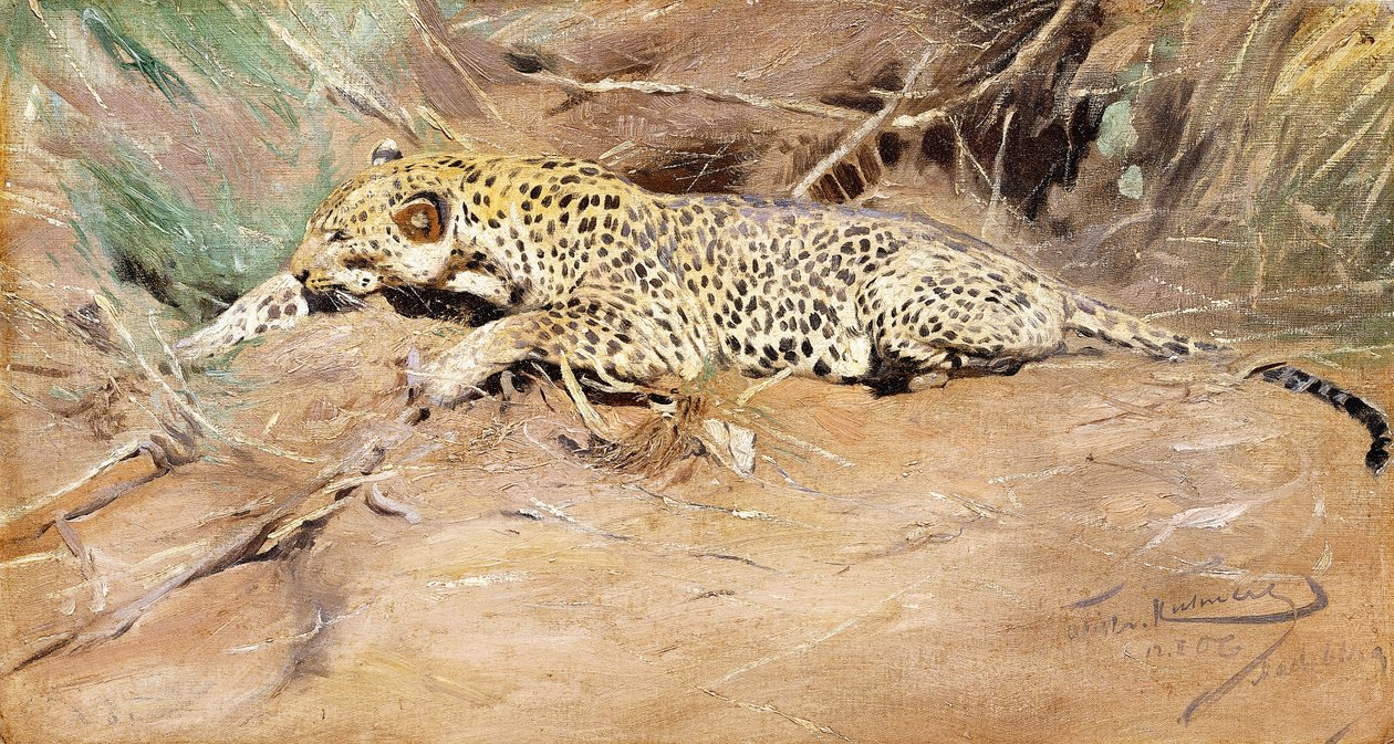 Leopárd, alkotó: Wilhelm Kuhnert