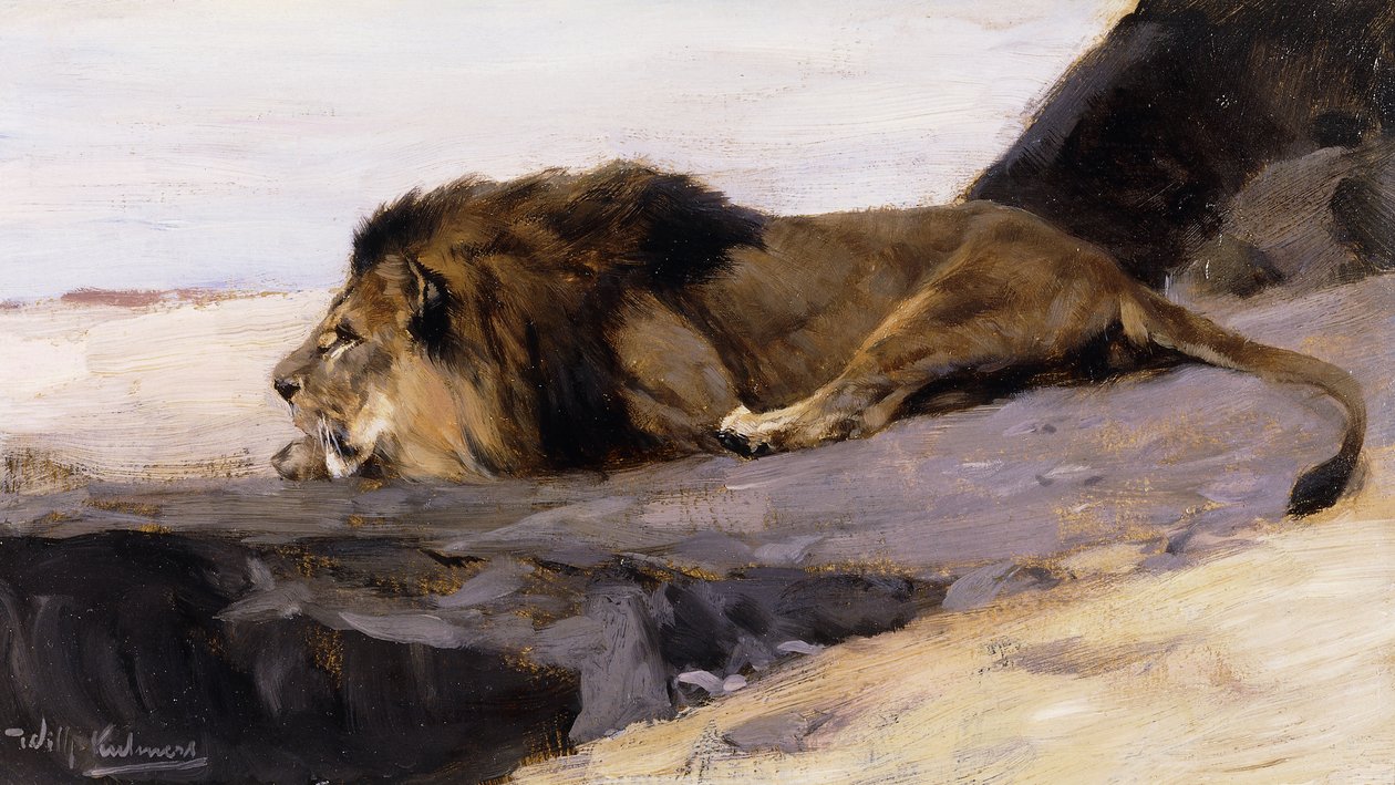 Egy pihenő oroszlán; Ruhender Lowe, alkotó: Wilhelm Kuhnert