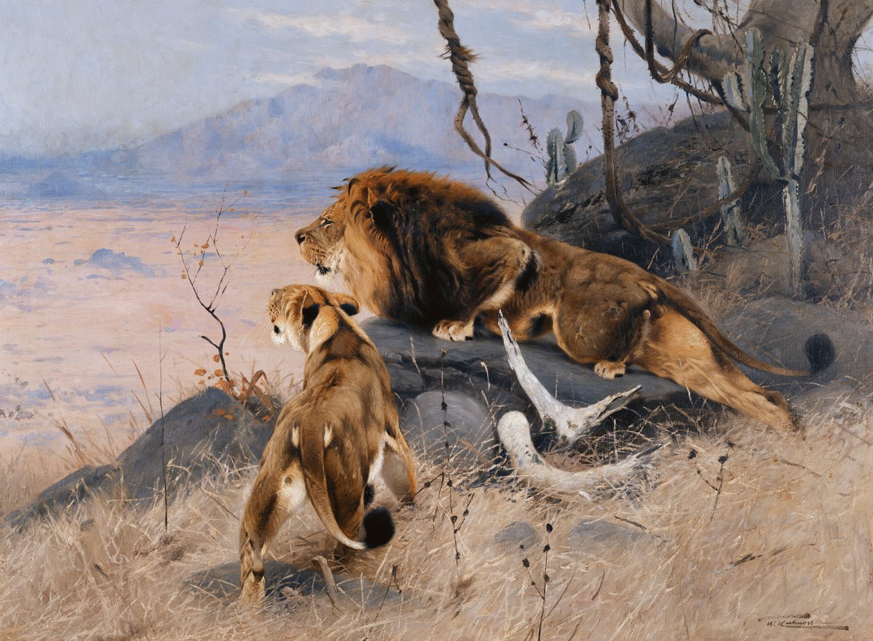 Oroszlán és Oroszlán; Lowe és Lowin, alkotó: Wilhelm Kuhnert
