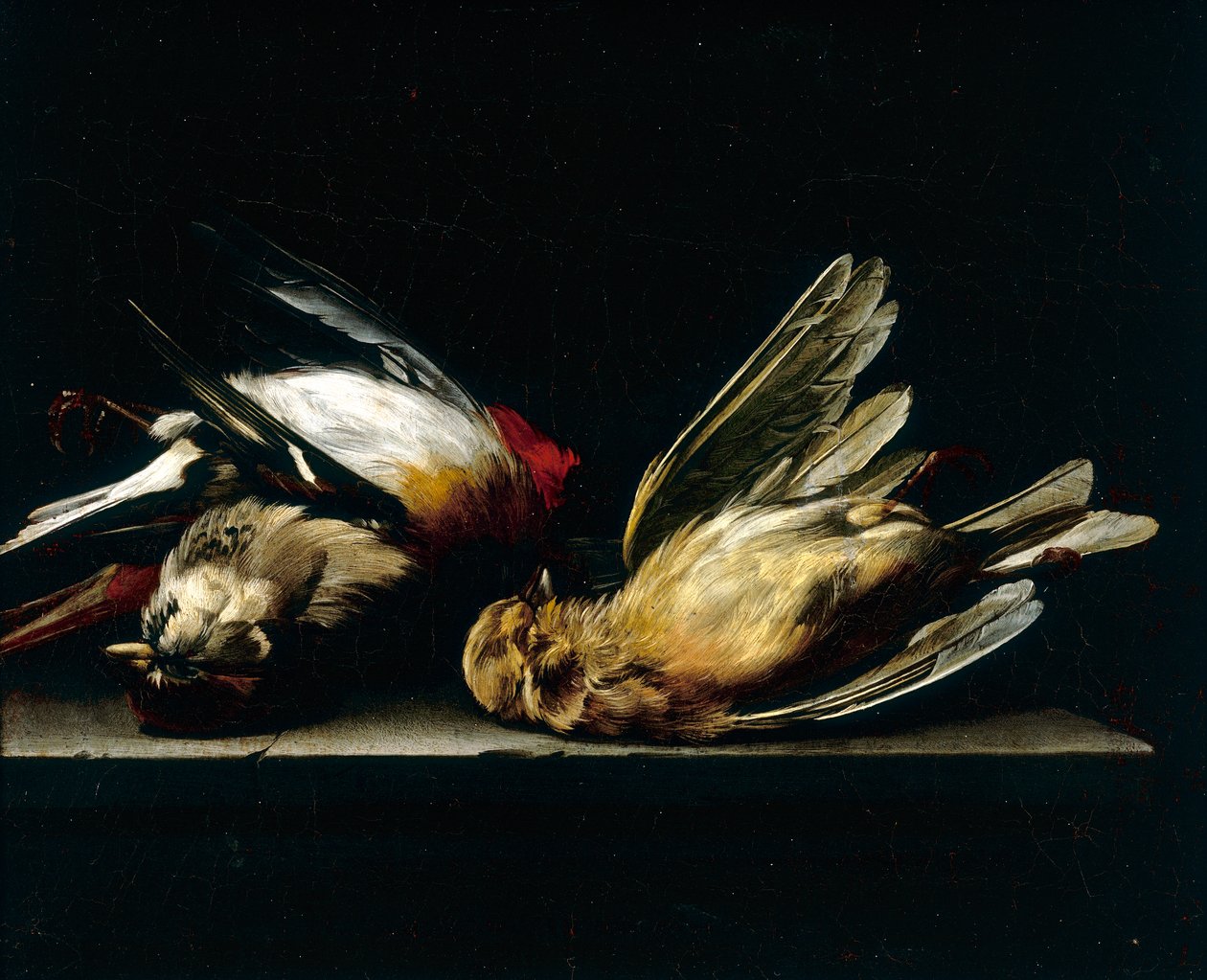 Döglött kis madarak alkotó: Willem van Aelst