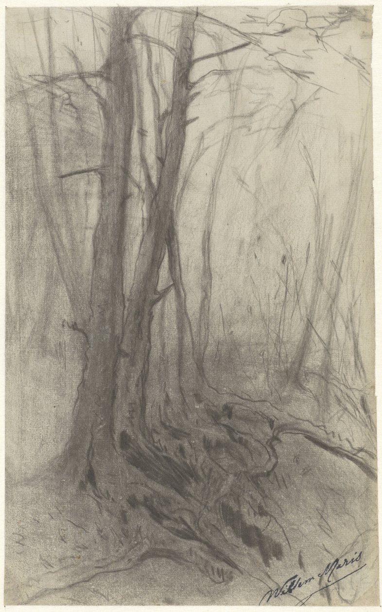 Fák az erdőben alkotó: Willem Maris
