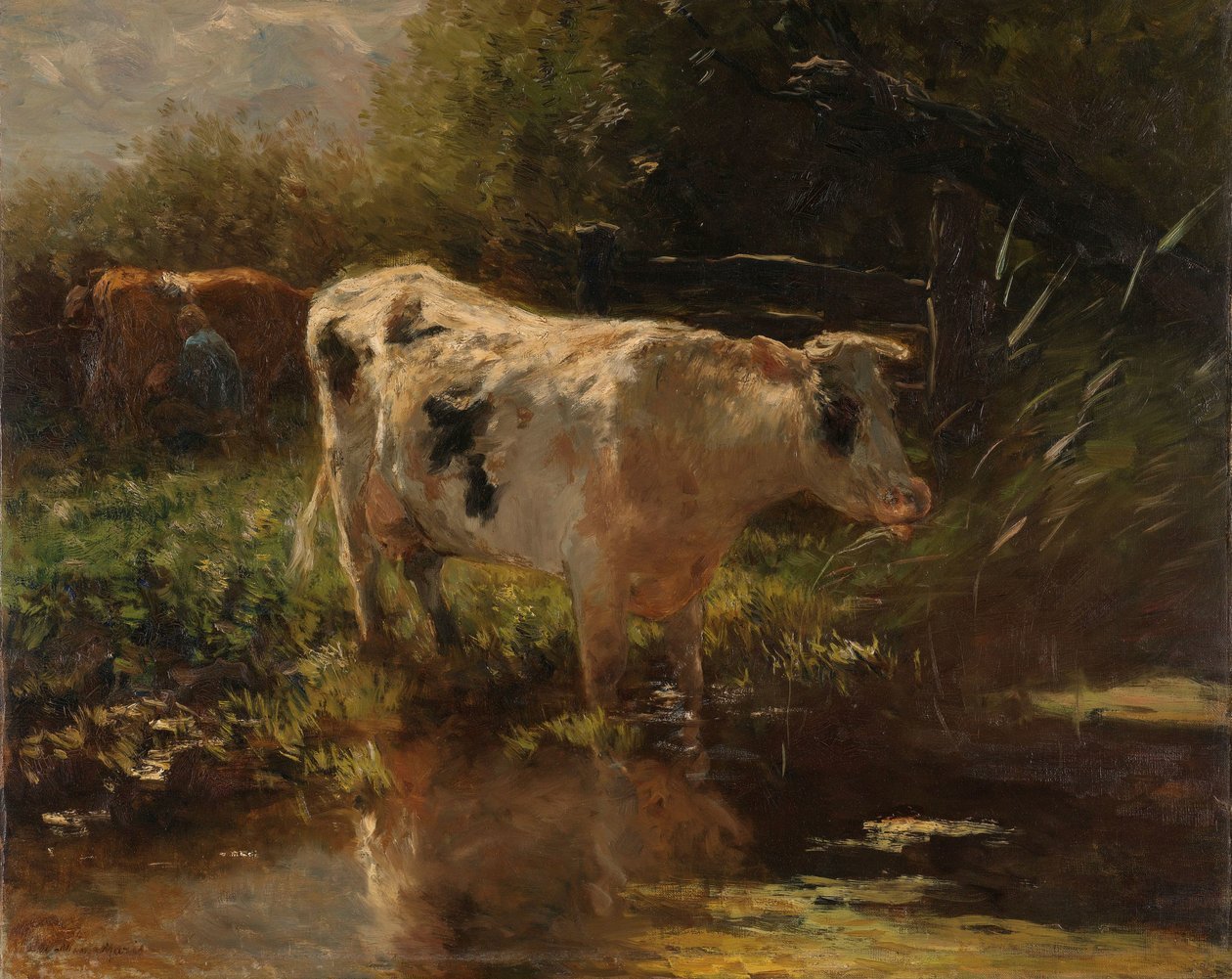 Tehén egy árok mellett Tehén az árok felőli oldalon alkotó: Willem Maris