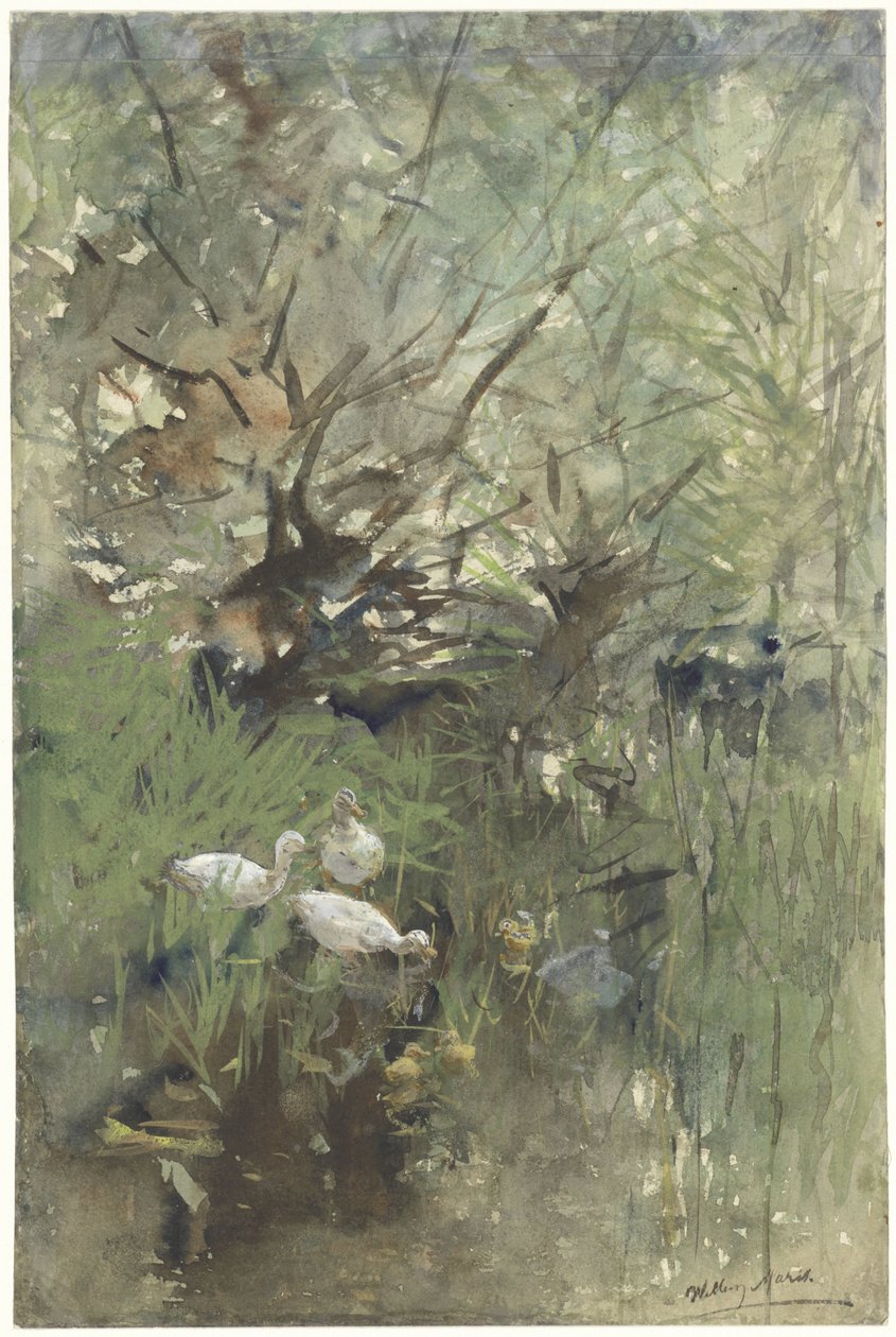 Kacsák a fűzfák alatt alkotó: Willem Maris