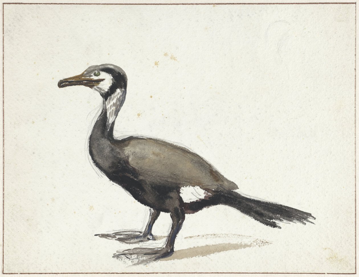 Kormorán alkotó: Willem Roelofs (I)