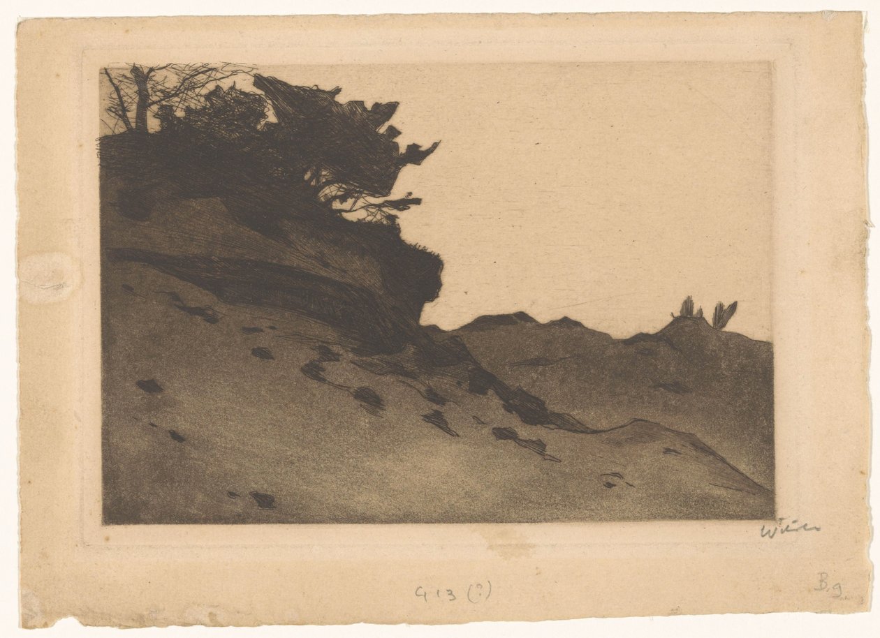 Cserjék a homok sodródásán alkotó: Willem Witsen (signed by artist)
