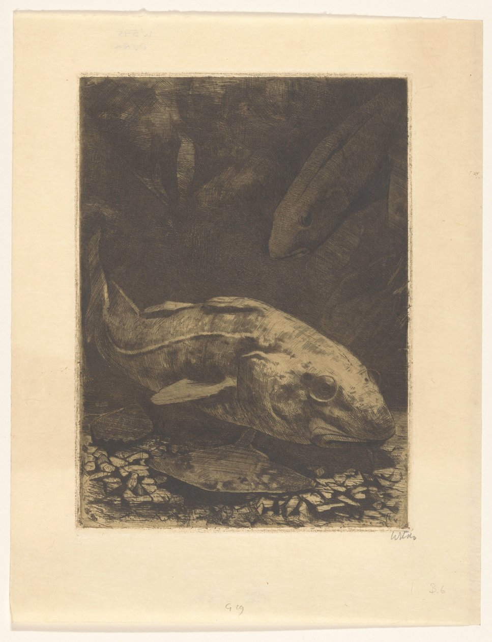 Halak és vízi növények alkotó: Willem Witsen (signed by artist)