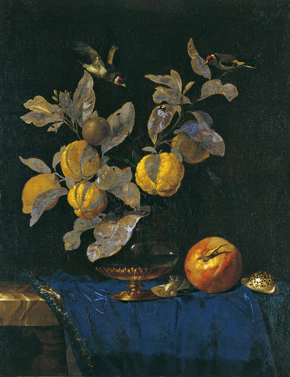 Csendélet gyümölccsel alkotó: Willem van Aelst
