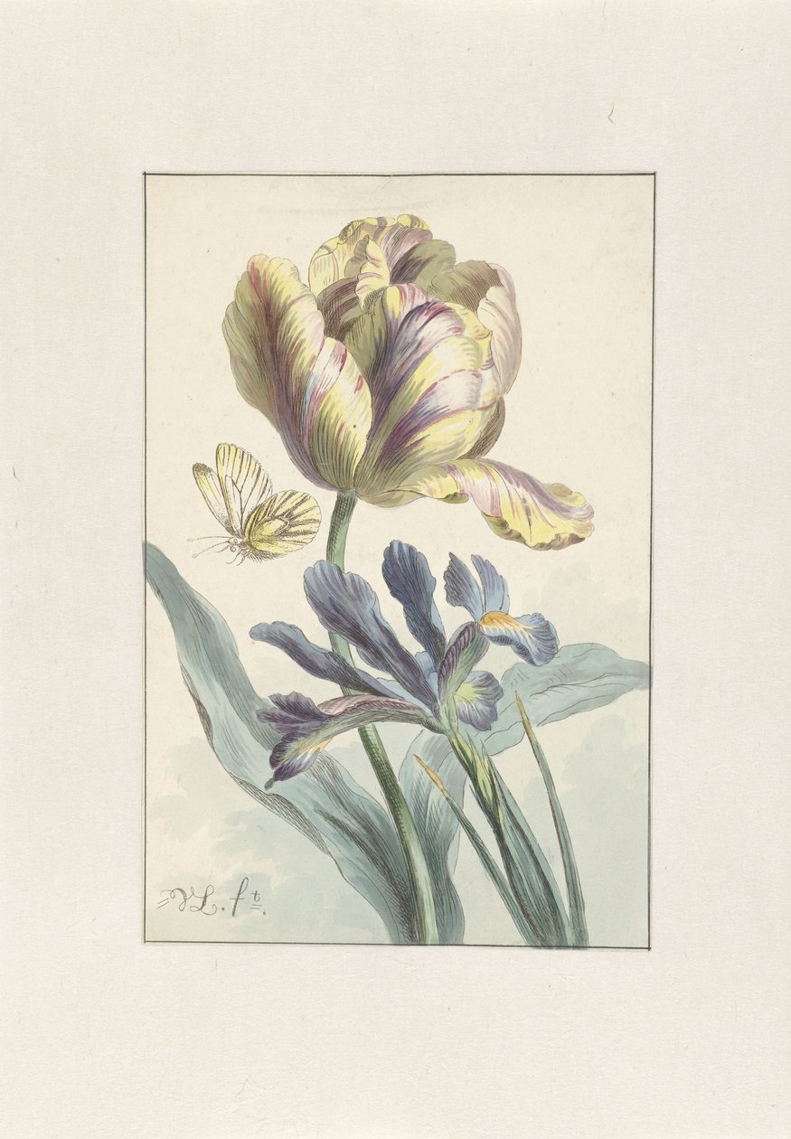 Tulipán és írisz alkotó: Willem van Leen
