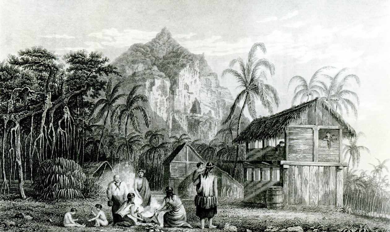 Pitcairn-sziget belseje, 1831 alkotó: William Beechey