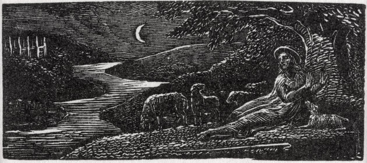 Colinet éjjel Cambridge-ben pihen, illusztráció Dr. Thornton „The Pastorals of Vergil” című művéből alkotó: William Blake