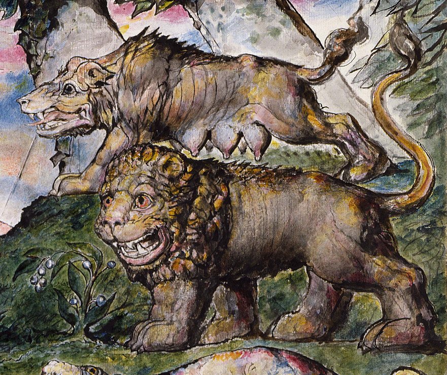Oroszlán és Farkas alkotó: William Blake