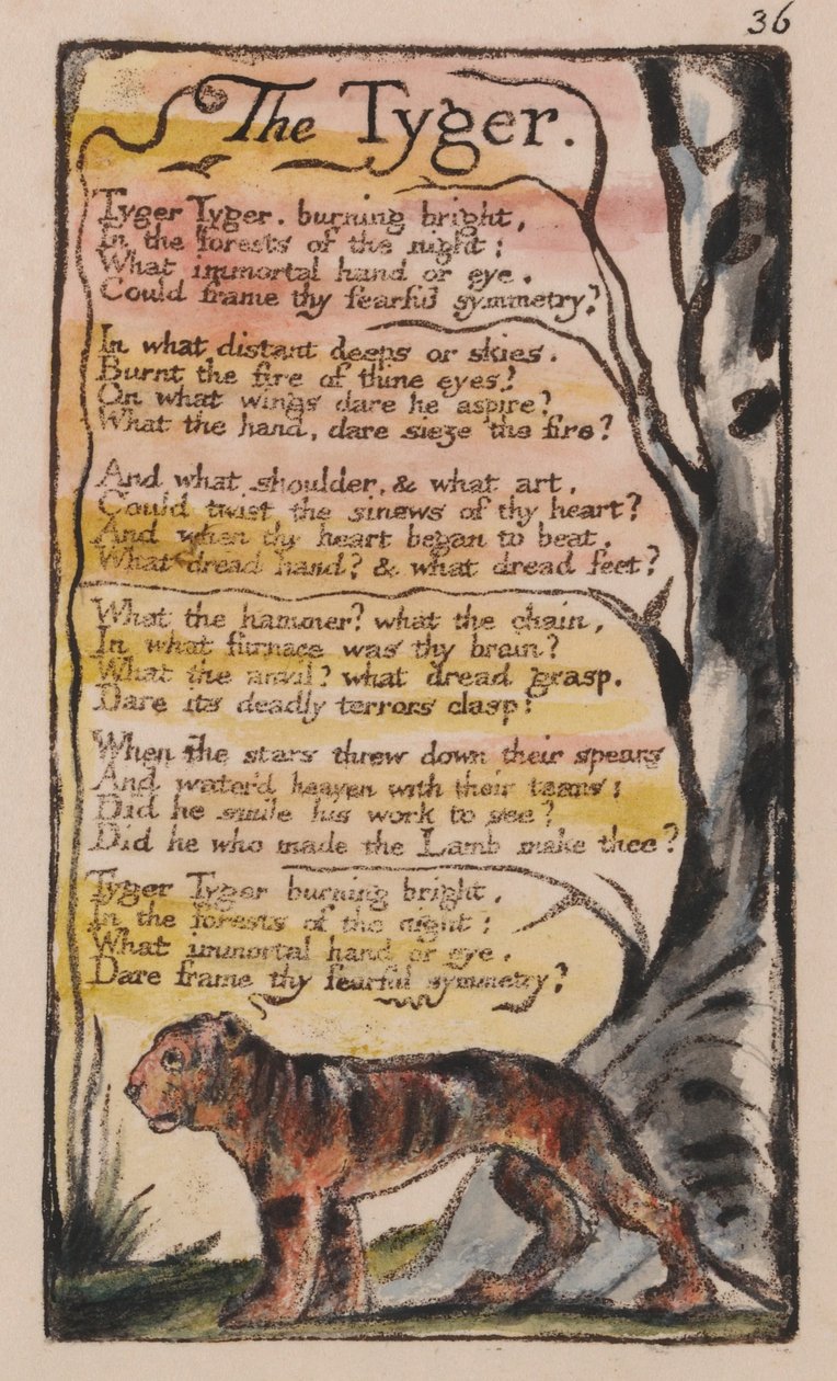 Az ártatlanság és a tapasztalat dalai, 36. lemez, A Tyger (Bentley 42) alkotó: William Blake