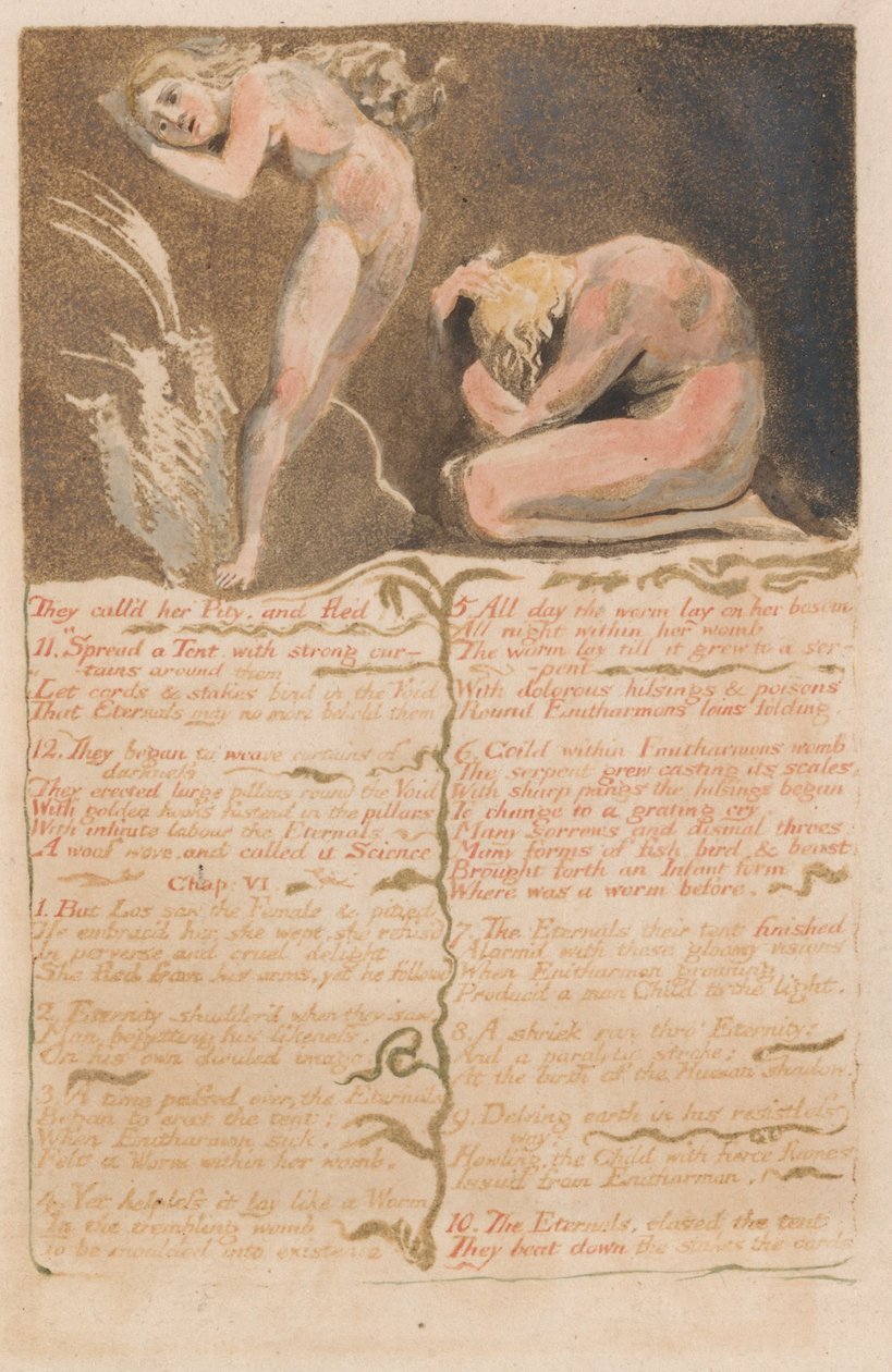 Urizen első könyve, 19. lemez, Szánalomnak nevezték és elmenekültek ... (Bentley 19) alkotó: William Blake