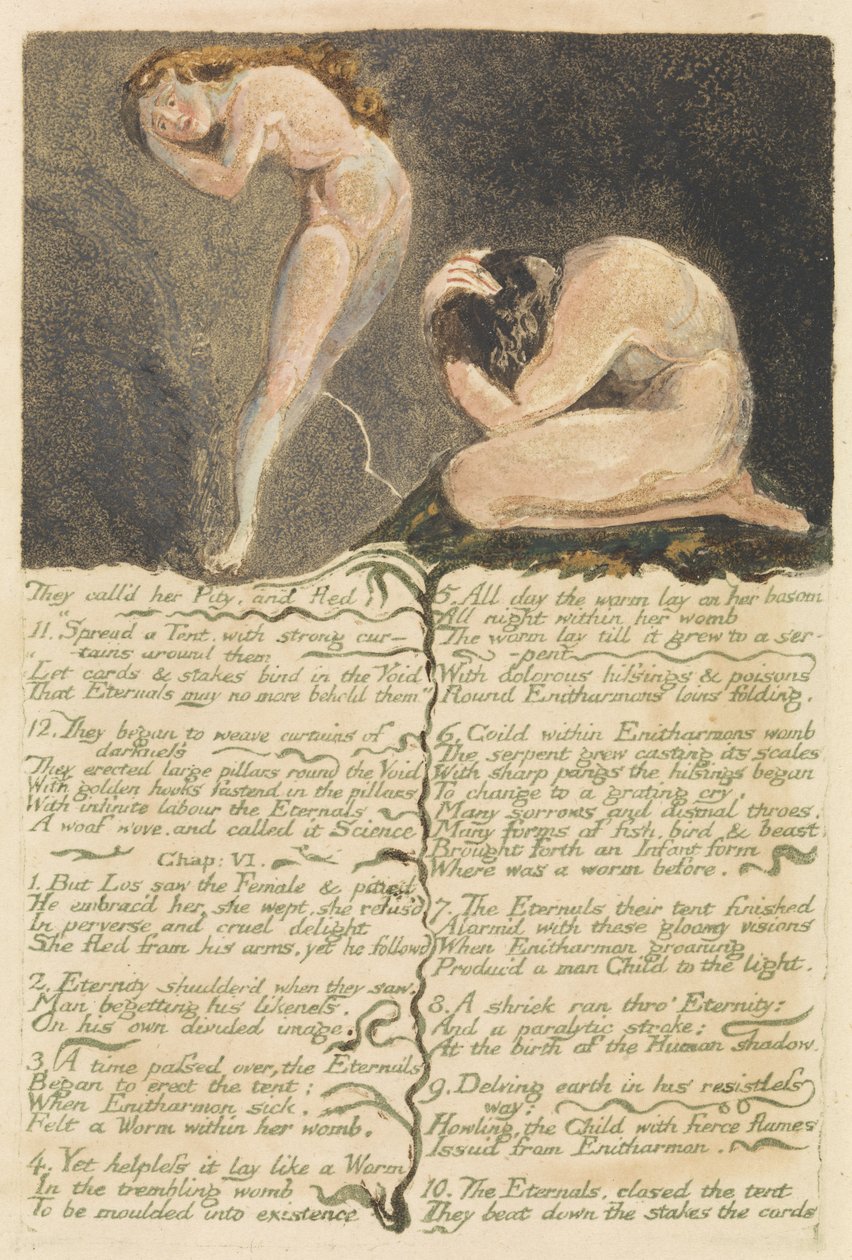 Urizen első könyve, 17. tábla, Pity and Fled..-nek hívták, 1794 (domborművésés wc-vel) alkotó: William Blake