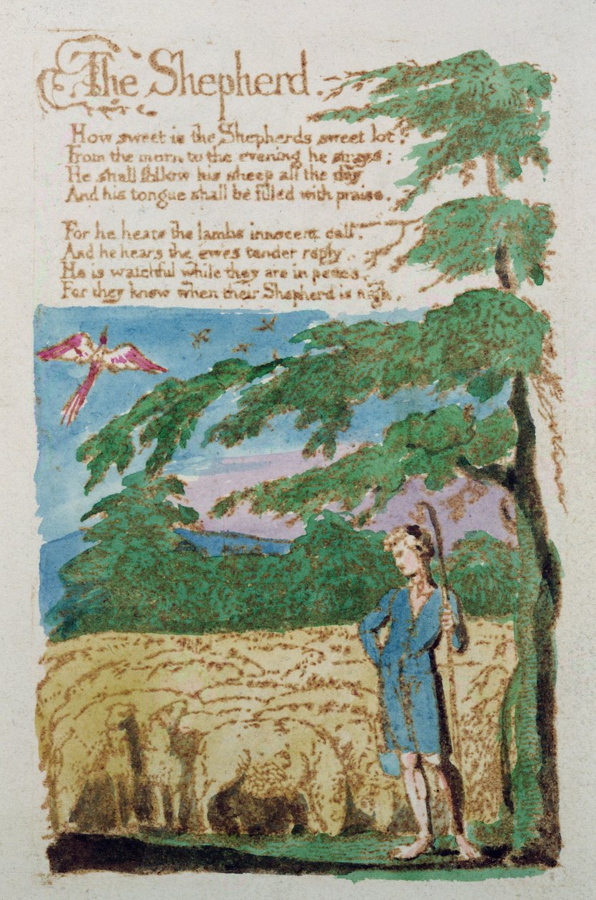 A Pásztor, Az ártatlanság énekeiből, 1789 (színes rézkarc) alkotó: William Blake