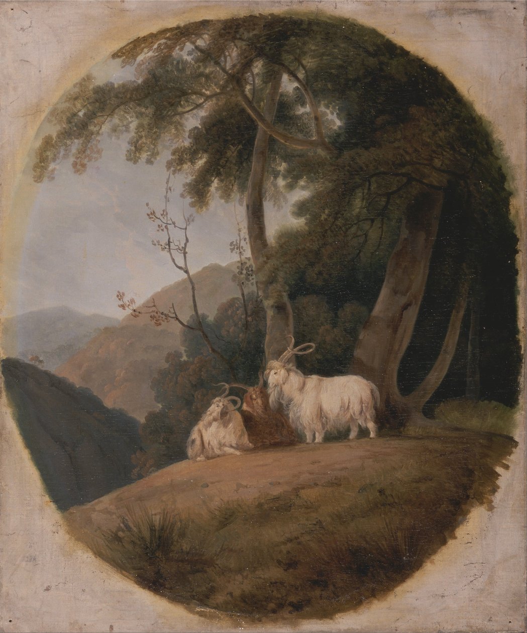 Kasmíri kecskék alkotó: William Daniell