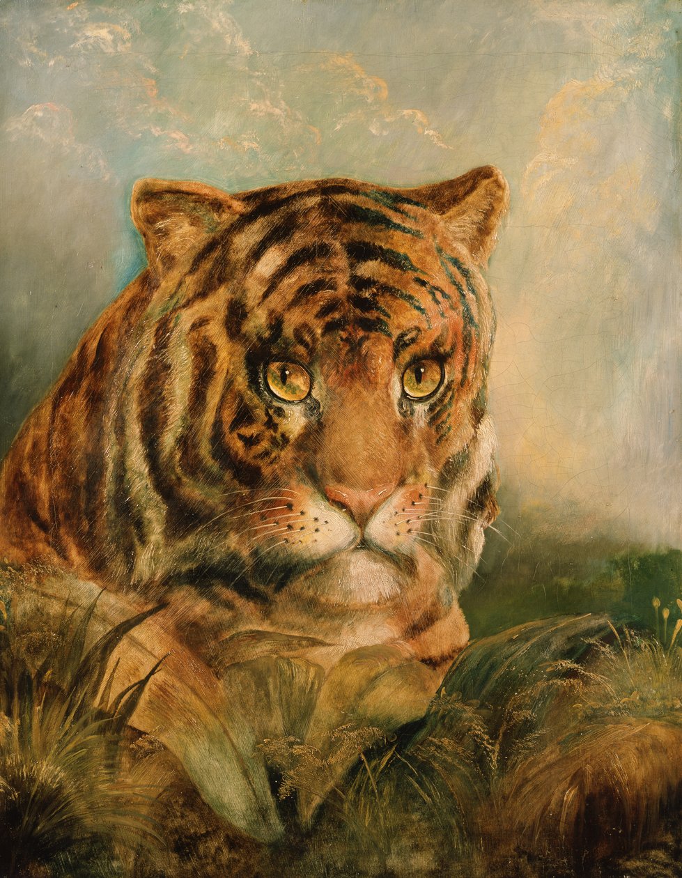 Ismeretlen kép alkotó: William Huggins