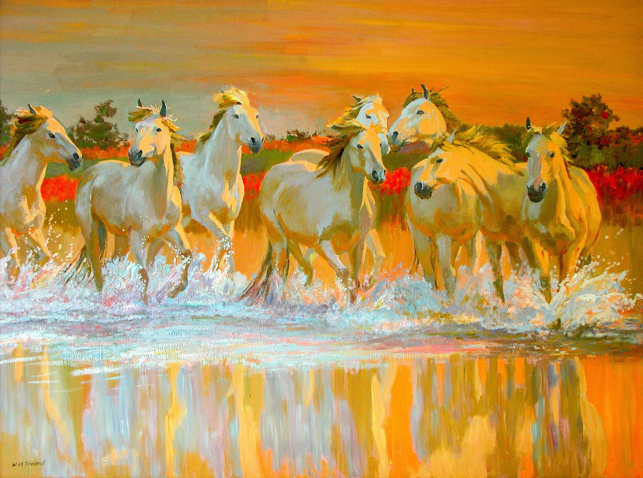 Camargue alkotó: William Ireland