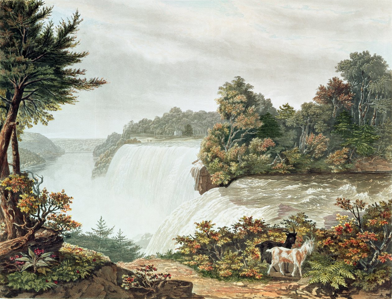 Niagara-vízesés, a Kecske-szigetről alkotó: William James Bennett